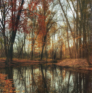 Meet your Posher, Gabrielle